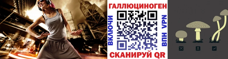 Галлюциногенные грибы Cubensis Кириши